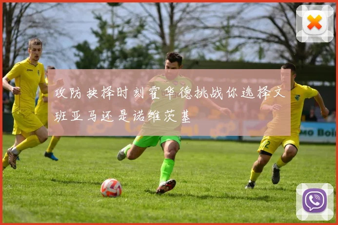 攻防抉择时刻霍华德挑战你选择文班亚马还是诺维茨基